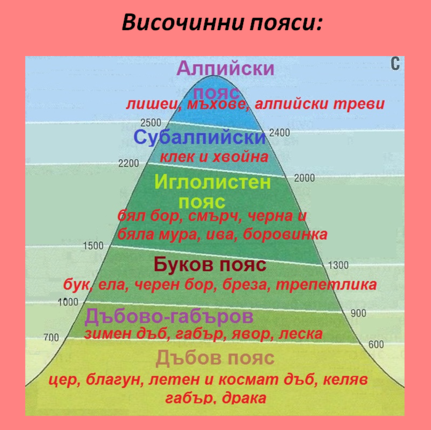 Картинка за статичен екран