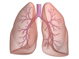 Image for the left image of the connect pair