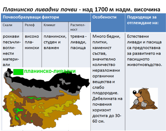 Картинка за статичен екран