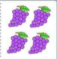 Image for the left image of the connect pair