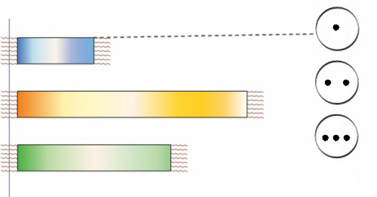 Image on which participants will draw, thus giving answers