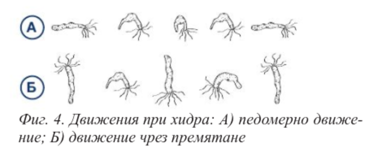 Картинка за статичен екран