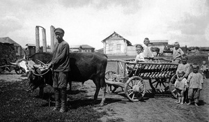 Развитие на българското стопанство след Освобождението​  Модернизация на българското общество​ 