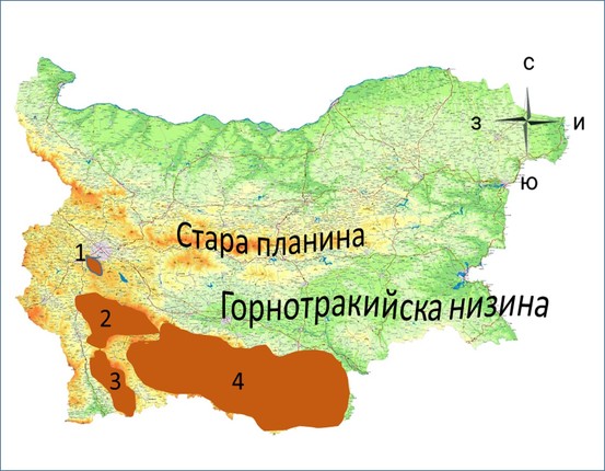 Картинка за статичен екран