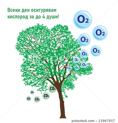 Картинка за статичен екран