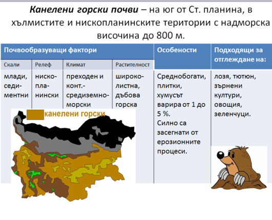 Картинка за статичен екран