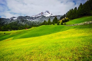 Картинка, поясняваща отговорите на въпроса