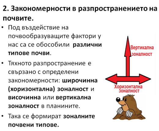 Картинка за статичен екран