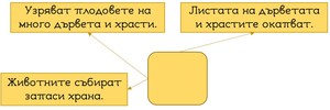 Картинка, поясняваща отговорите на въпроса