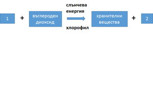 Картинка, поясняваща отговорите на въпроса