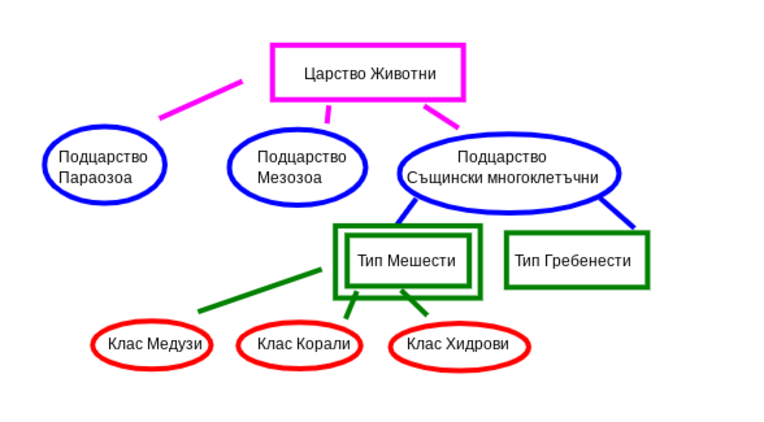 Картинка за статичен екран