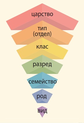 Картинка, върху която да се посочи правилния отговор