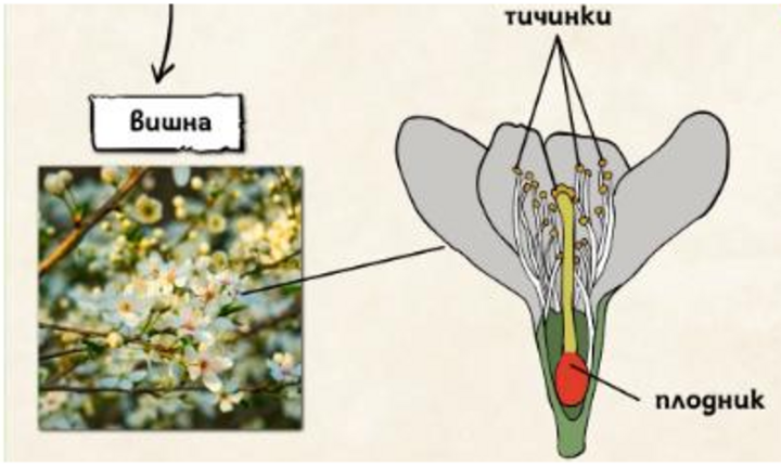 Картинка за статичен екран