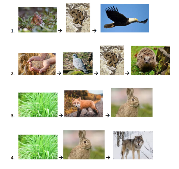 Image for quiz