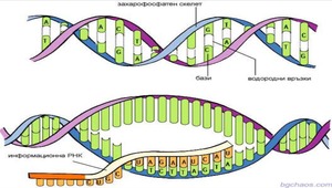 Image for the left image of the connect pair