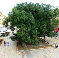 Картинка за лявата част на двойката за свързване