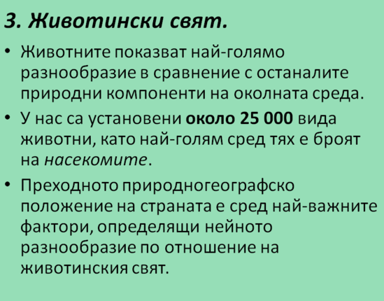 Картинка за статичен екран