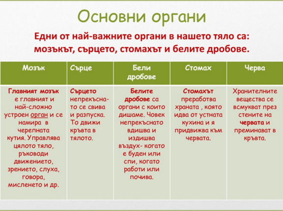 Картинка за статичен екран