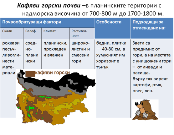 Картинка за статичен екран