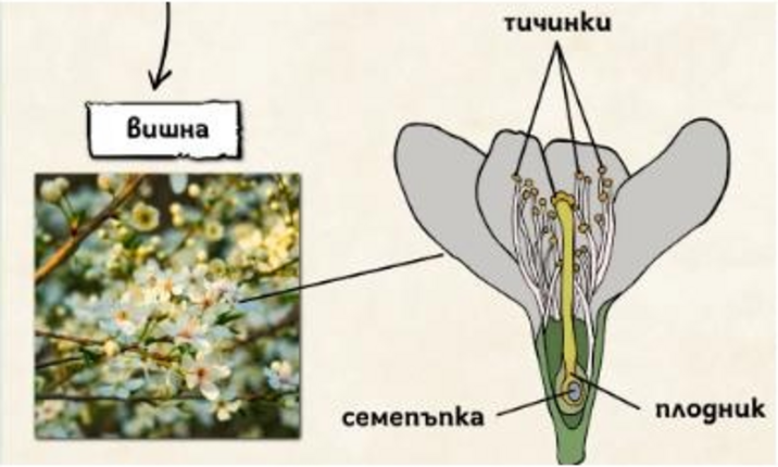 Картинка за статичен екран