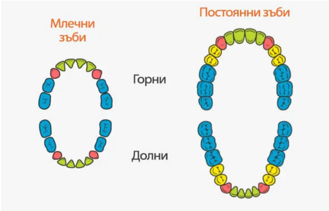 Картинка, върху която да се посочи правилния отговор