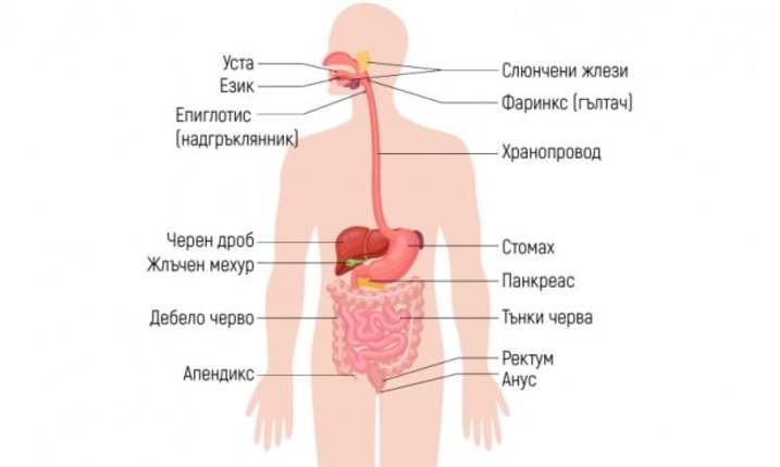 Картинка за статичен екран