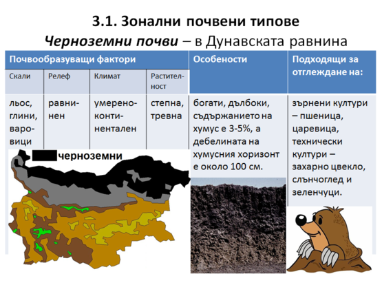 Картинка за статичен екран