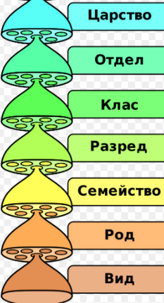 Картинка за статичен екран