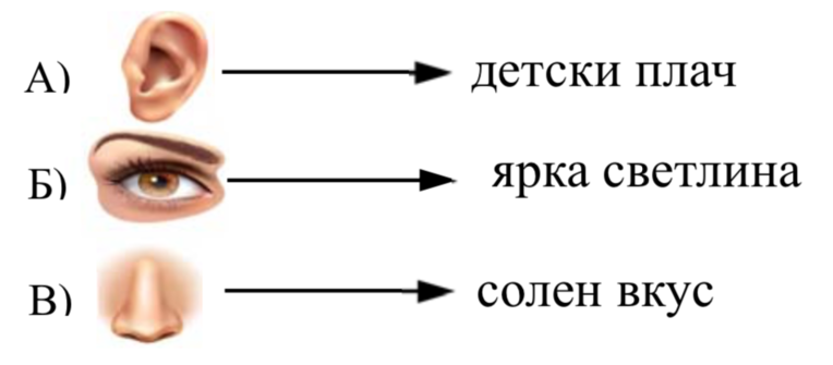 Картинка, върху която да се посочи правилния отговор