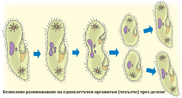 Картинка, поясняваща отворен въпрос