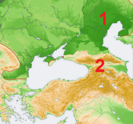 Картинка за статичен екран