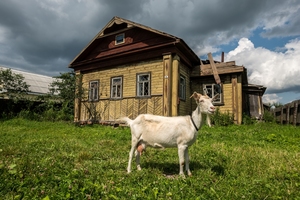 Картинка за лявата част на двойката за свързване