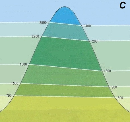 Pick the correct location on this image