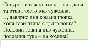 Картинка, поясняваща отговорите на въпроса