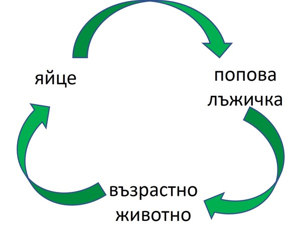 Картинка, поясняваща отговорите на въпроса