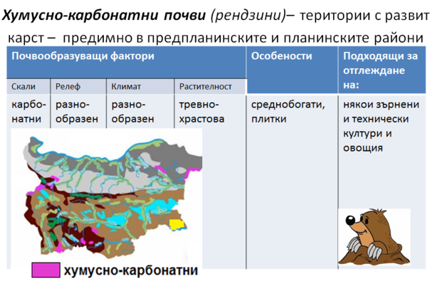 Картинка за статичен екран