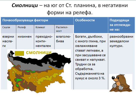 Картинка за статичен екран