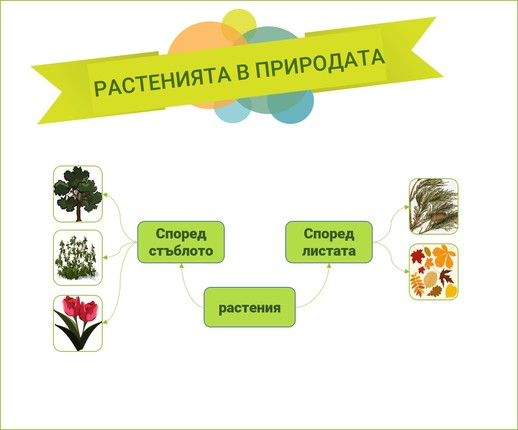 Картинка за статичен екран