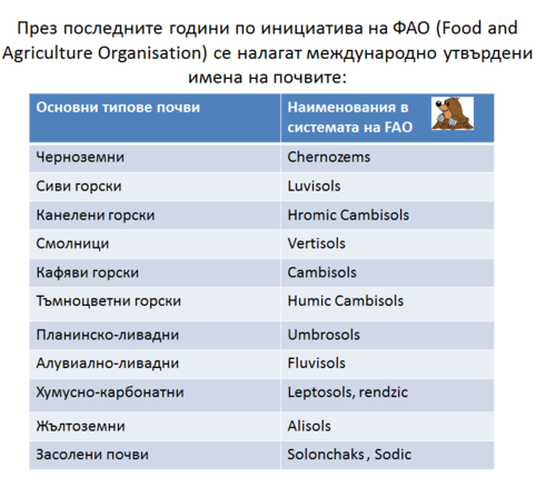 Картинка за статичен екран