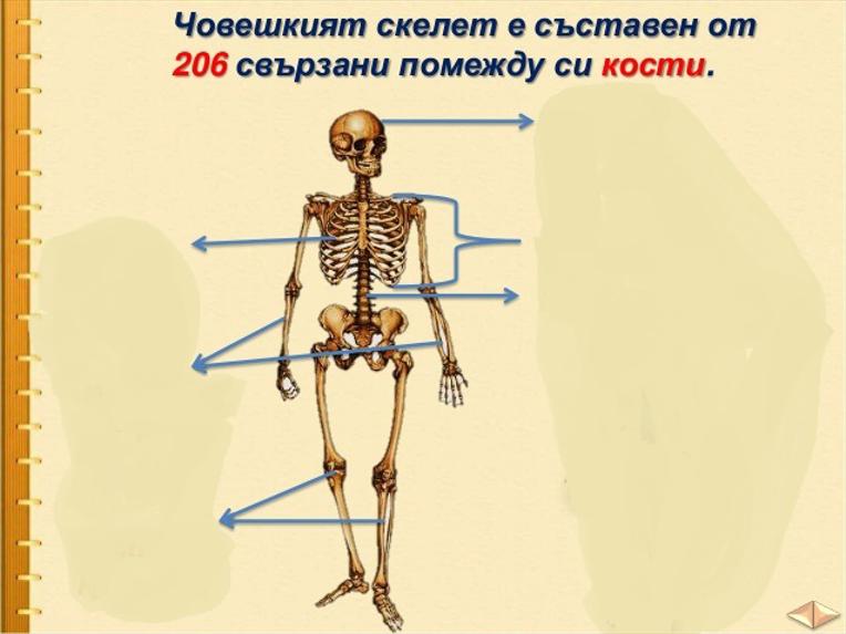 Картинка, върху която да се посочи правилния отговор