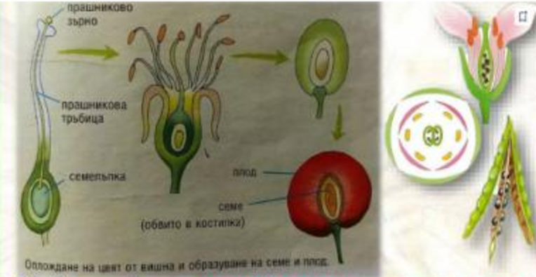 Картинка за статичен екран