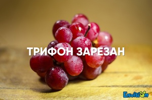 Трифон Зарезан