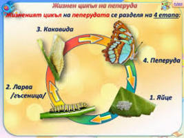 Картинка, поясняваща отговорите на въпроса