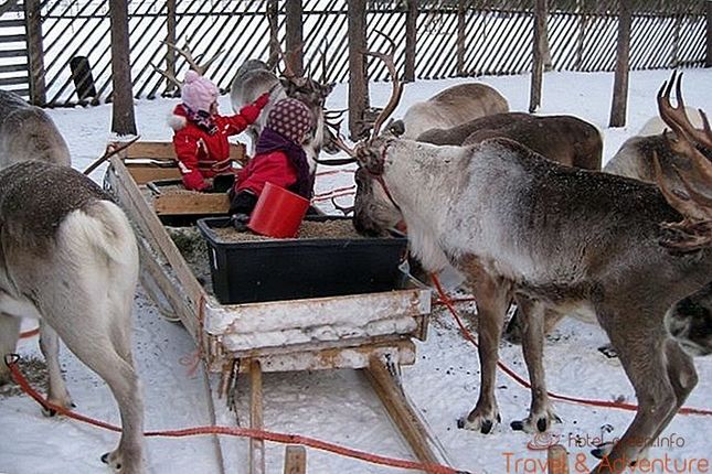 Картинка за статичен екран