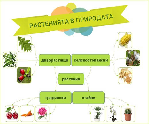 Картинка за статичен екран