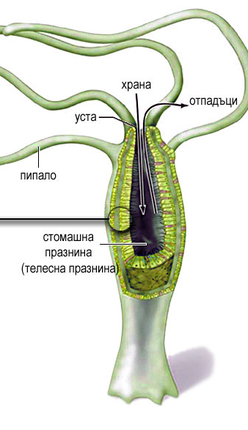 Картинка за статичен екран