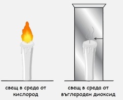 Картинка, поясняваща отговорите на въпроса