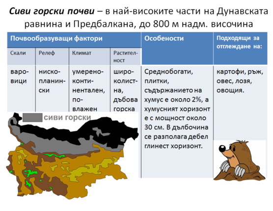 Картинка за статичен екран