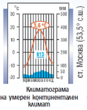 Картинка за статичен екран