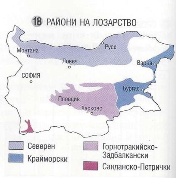 Картинка, поясняваща отговорите на въпроса